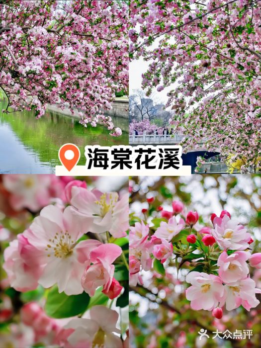 元大都城垣遗址公园图片