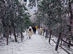 -紫金山山顶公园