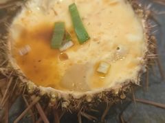 -海胆小馆(春柳店)