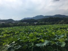 -韶山毛泽东同志故居