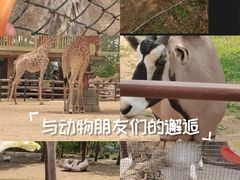 -大连森林动物园