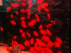-熙成烧烤(白塔岭店)