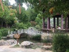 -花洲书院