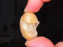 -洪湖里王姐大乌豆