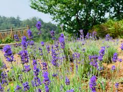 -云峰山自然风景区