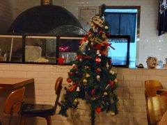 -Twin Tails Brewpub双尾精酿餐吧(八坼店)