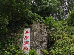 -深圳仙湖植物园