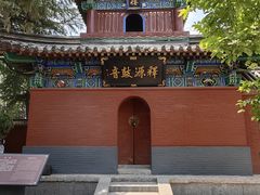 -洛阳白马寺