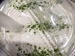-お茶本部。珍珠奶茶专卖店