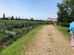 -金谷域澳洲庄园