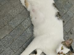 -Wagas沃歌斯(尚街店)