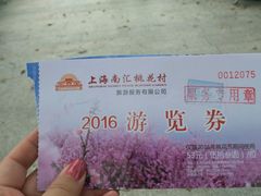 -南汇桃花村