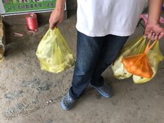 -马陆小张葡萄园农家乐