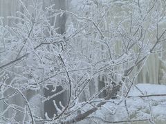 -雾凇岛