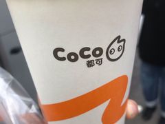 -CoCo都可(江宁托乐嘉店)