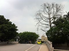 -长洲岛