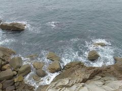 -广东惠东海龟国家级自然保护区
