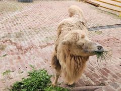 -田园寨农园观光园