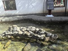 -红螺寺