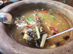 -抚仙湖生态石锅鱼野生菌(告庄店)