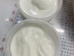 -洪馨椰子