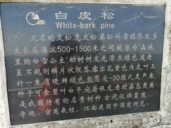 -神农山景区
