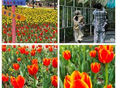 -长春公园(普阳街道)