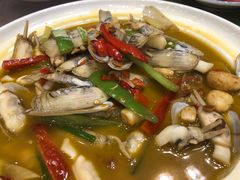 黄酱炒蛏子-西新饭店(城中店)