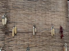 -鑫淼馫农家乐餐馆