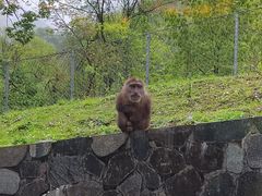 -土司宴