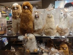 -茑屋书店(天目里店)