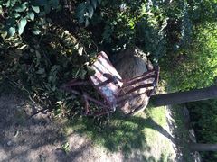 长春公园-长春公园(普阳街道)