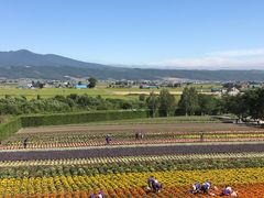 -富田农场