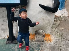 -易贝乐成长中心(坂田中心)