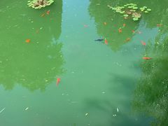 -平遥县衙
