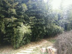 -北京宽沟会议中心