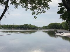 -南翔镇银翔湖公园