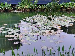 -星巴克(深圳前海企业公馆店)