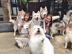 -TrueLove @ Neverland (Husky Cafe)