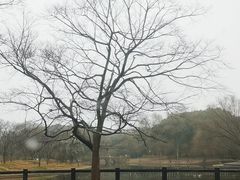 -绿荫坊餐厅(共青森林公园店)