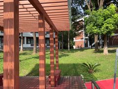 -合肥滨湖国家森林公园