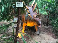 -呀路古热带植物园