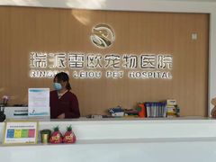 -瑞派雷欧宠物医院·24h夜诊·心脏骨科牙科·全科重症转诊中心(无影山店)