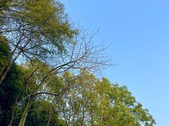 -南宁南湖公园