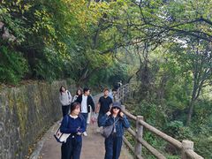 -少华山国家森林公园