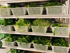 -攀枝花野菜铜火锅(万科凯德店)