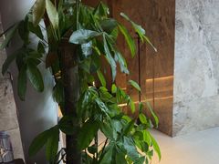 -长沙Y60-SKYLINE天际江景酒店(五一广场店)