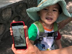 -碓臼峪自然风景区