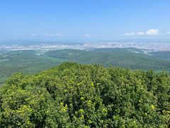 -帽儿山国家森林公园