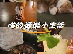 -咖法森林·咖啡  酒吧(天河店)